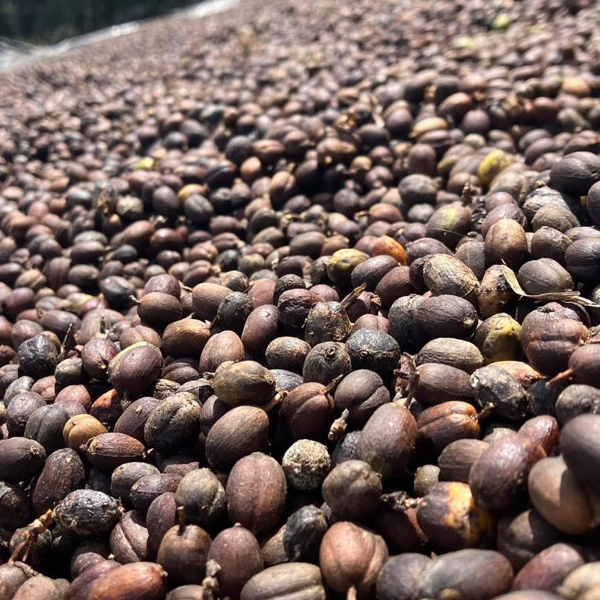 A Costa Rica-i kávé eredete